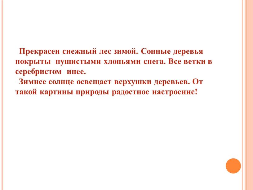 Прекрасен снежный лес зимой. Сонные деревья покрыты пушистыми хлопьями снега