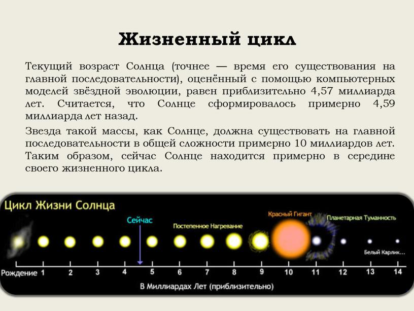 Жизненный цикл Текущий возраст