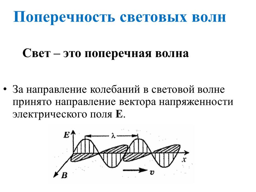 Поперечность световых волн За направление колебаний в световой волне принято направление вектора напряженности электрического поля