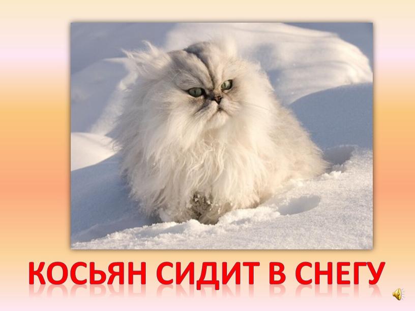 Косьян сидит в снегу