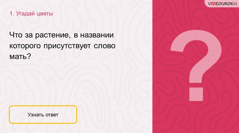 Угадай цветы Узнать ответ Что за растение, в названии которого присутствует слово мать?