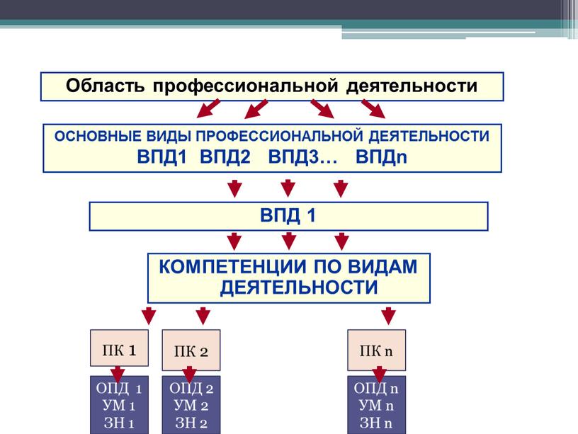 Область профессиональной деятельности