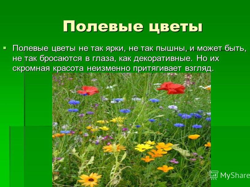 Презентация на тему: "Цветы бывают разные: весенние, садовые, полевые"