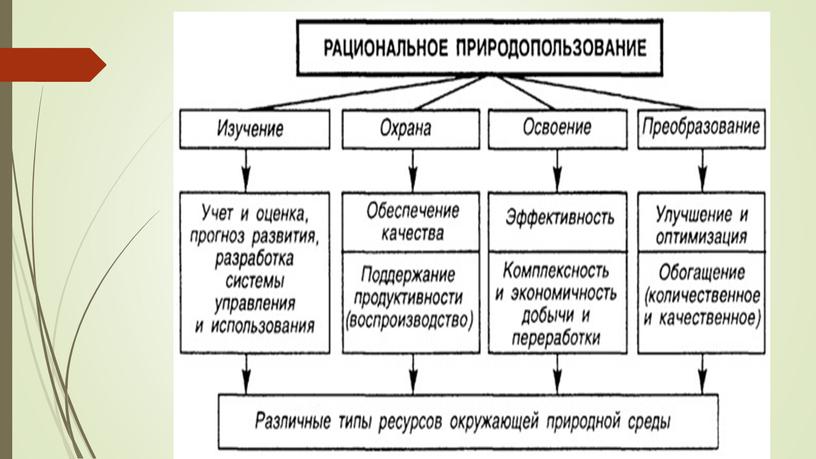 Презентация по теме: "Общество и природа"