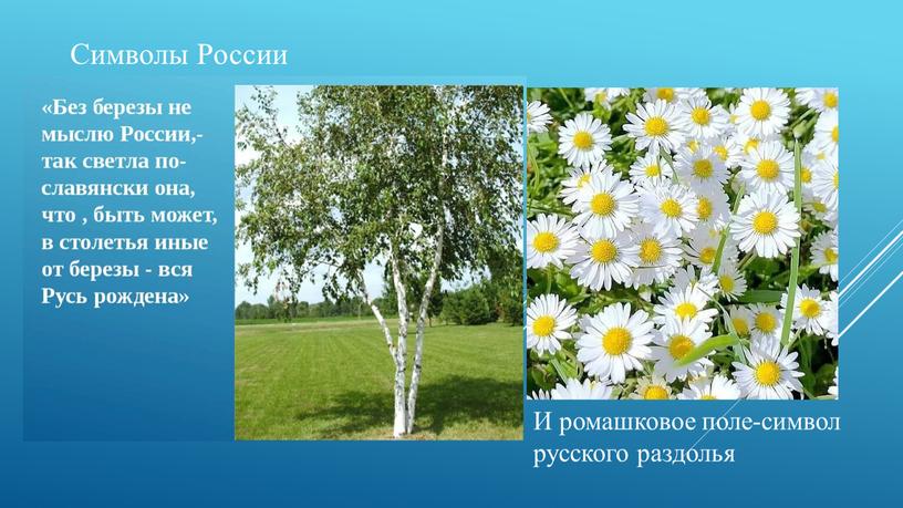 И ромашковое поле-символ русского раздолья