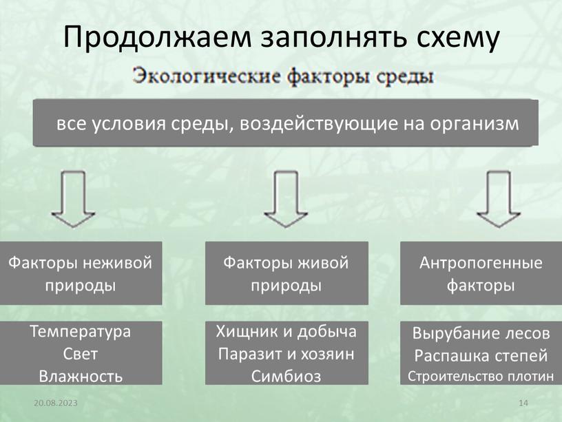 Продолжаем заполнять схему 20.08