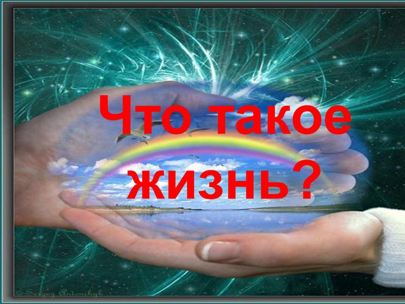 Что такое жизнь?