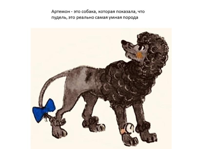 Артемон - это собака, которая показала, что пудель, это реально самая умная порода