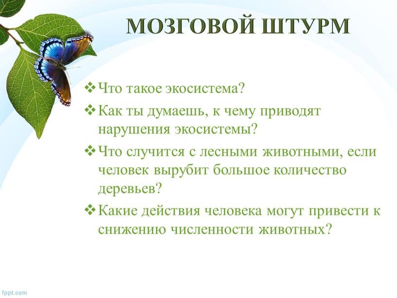 Что такое экосистема? Как ты думаешь, к чему приводят нарушения экосистемы?