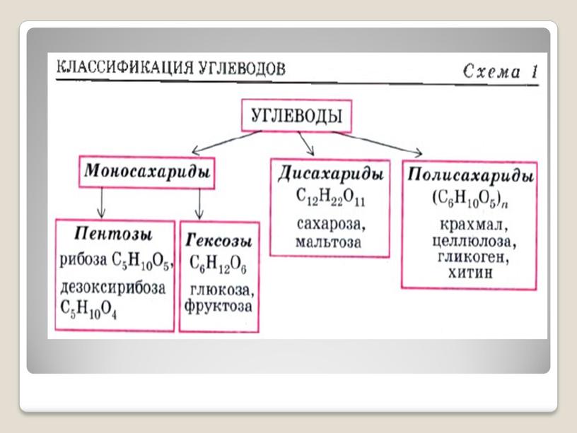 Углеводы