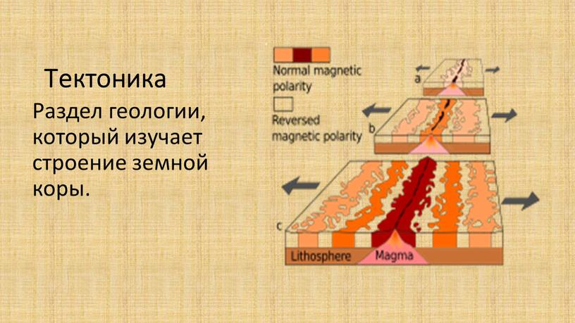 Тектоника Раздел геологии, который изучает строение земной коры