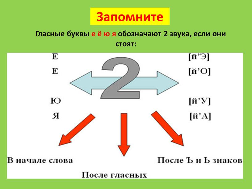 Запомните Гласные буквы е ё ю я обозначают 2 звука, если они стоят: