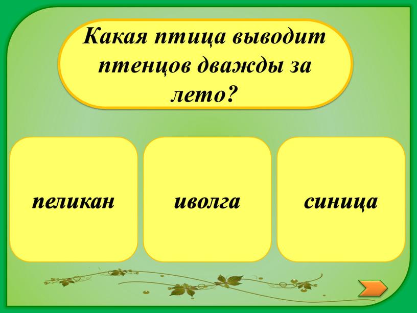 Какая птица выводит птенцов дважды за лето? иволга пеликан