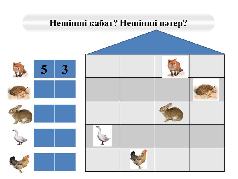 Биік аласа математика негіздері тех карта