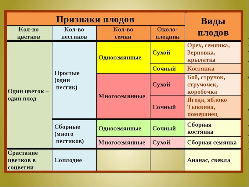 Царства растений