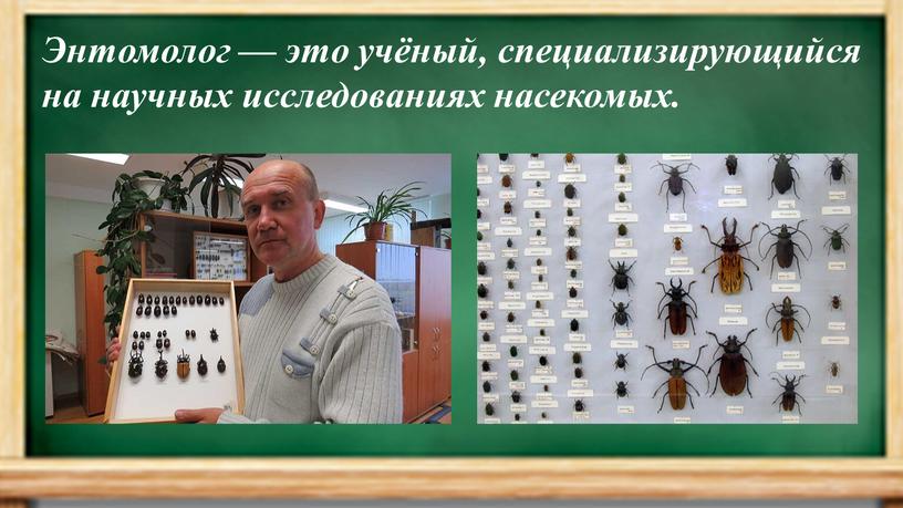 Энтомолог — это учёный, специализирующийся на научных исследованиях насекомых