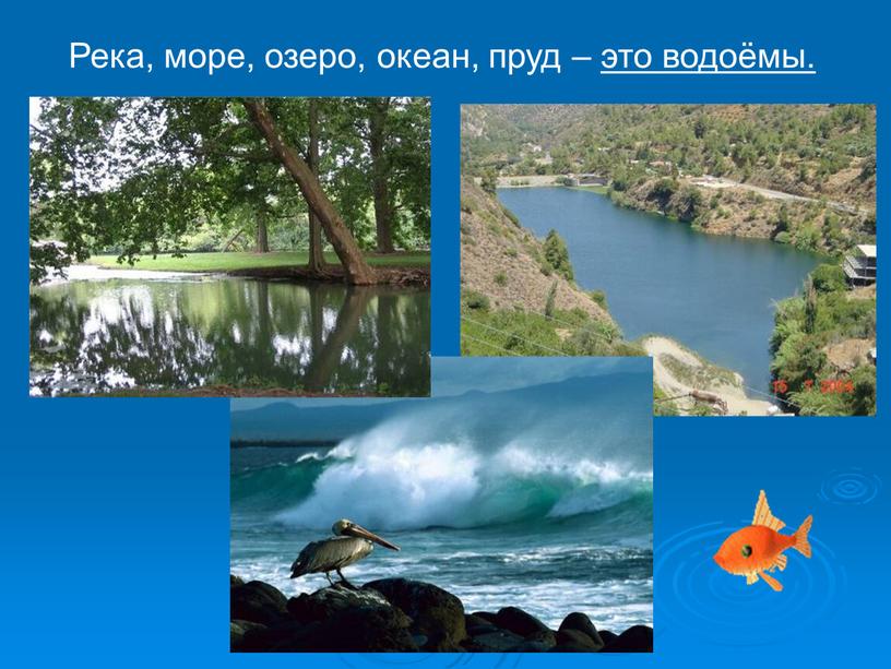 Река, море, озеро, океан, пруд – это водоёмы