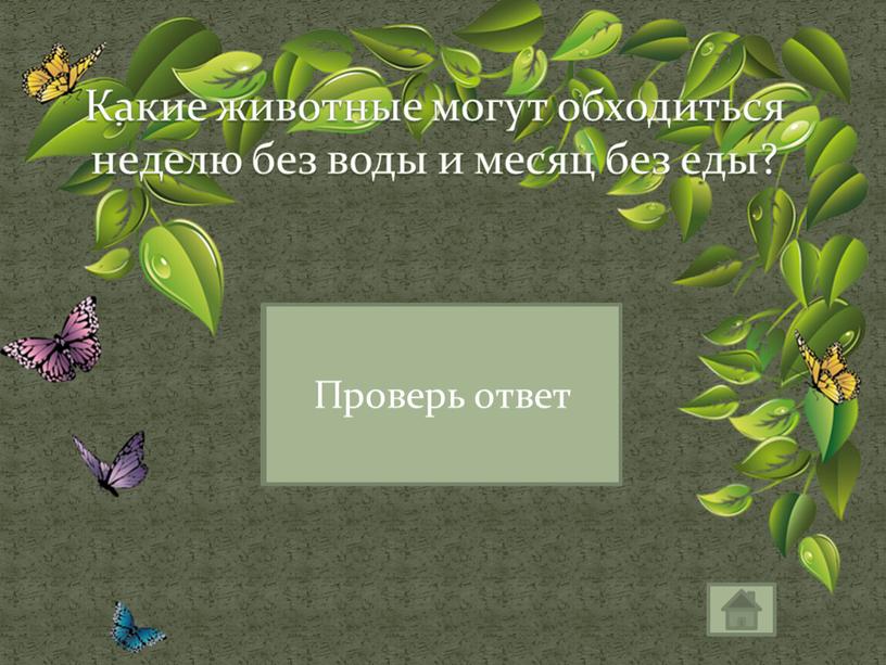 Какие животные могут обходиться неделю без воды и месяц без еды?