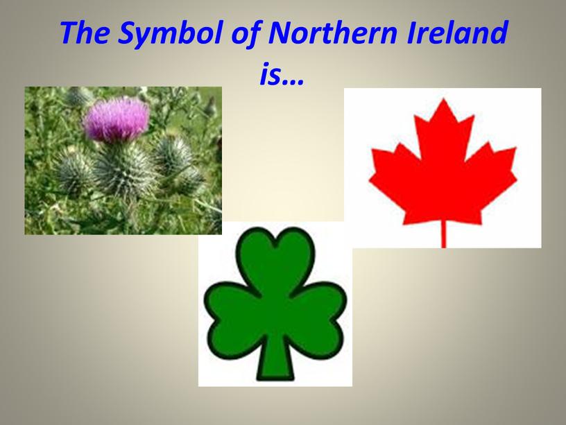 The Symbol of Northern Ireland is…