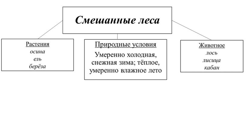 Смешанные леса Природные условия