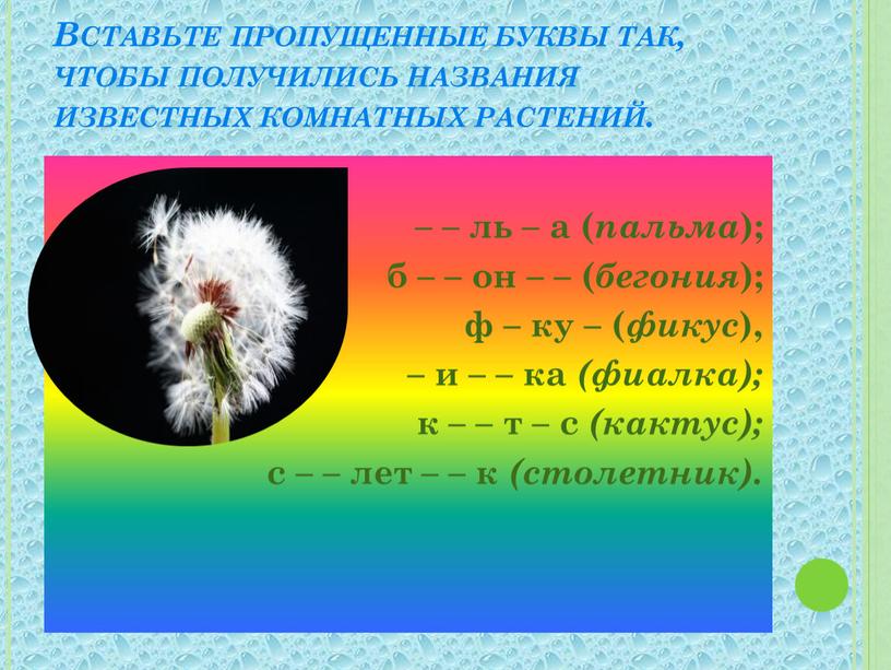 Вставьте пропущенные буквы так, чтобы получились названия известных комнатных растений