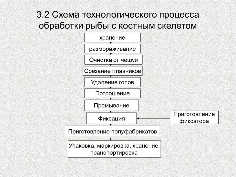 Обработка рыбы с костным и хрящевым скелетом