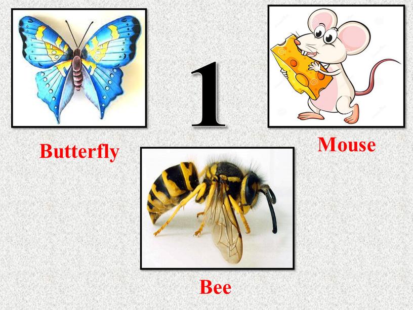 1 Bee Butterfly Mouse