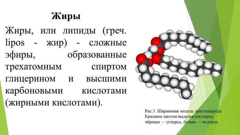 Жиры Жиры, или липиды (греч. lipos - жир) - сложные эфиры, образованные трехатомным спиртом глицерином и высшими карбоновыми кислотами (жирными кислотами)