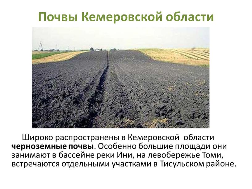 Почвы Кемеровской области