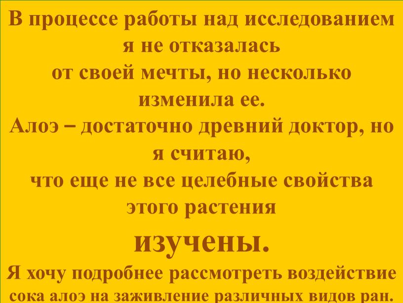 В процессе работы над исследованием я не отказалась от своей мечты, но несколько изменила ее