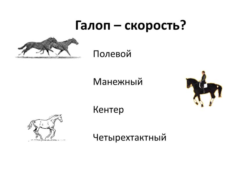 Галоп – скорость? Полевой Манежный