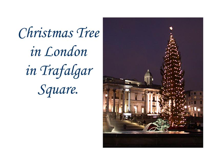 Christmas Tree in London in Trafalgar