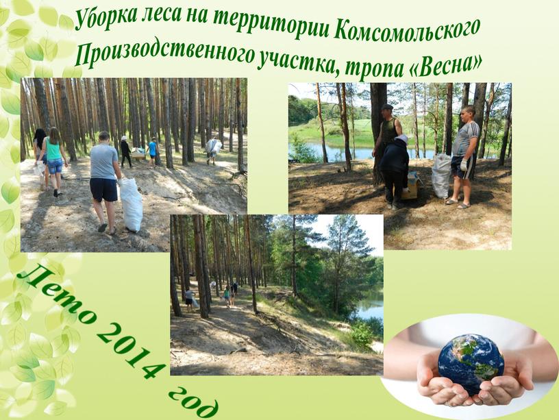 Уборка леса на территории Комсомольского