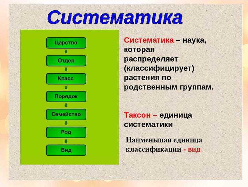 Методический материал по теме урока в 5 класса : "Многообразие животных"