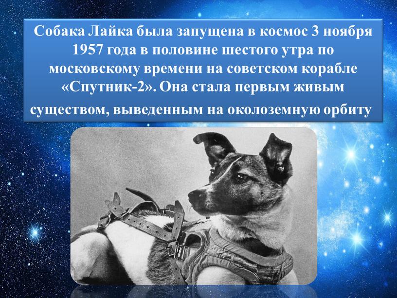 Собака Лайка была запущена в космос 3 ноября 1957 года в половине шестого утра по московскому времени на советском корабле «Спутник-2»