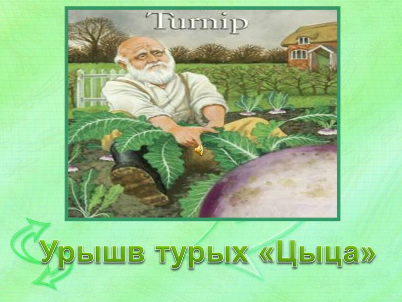 Урышв турых «Цыца»