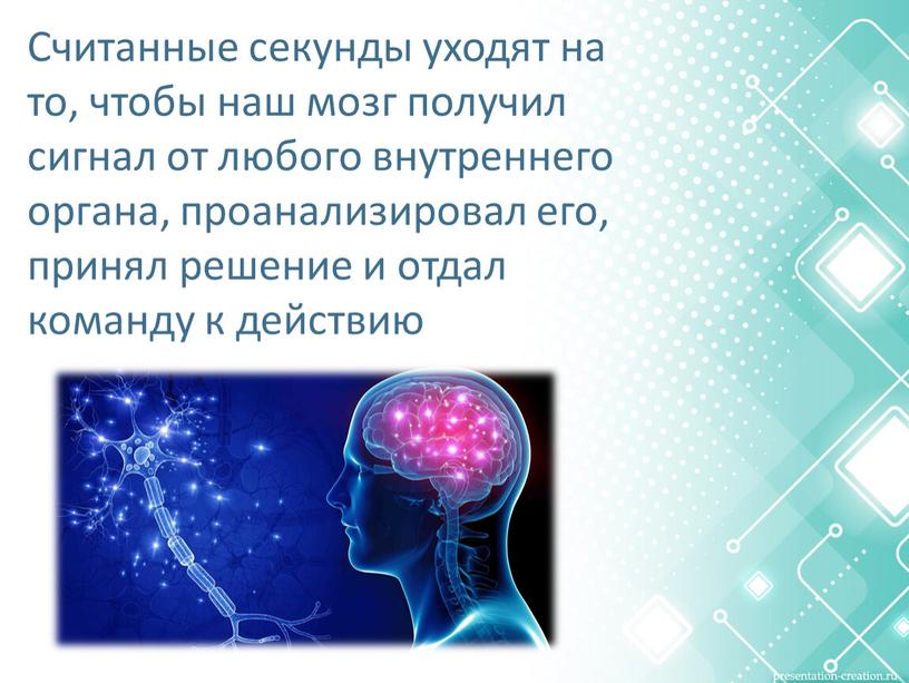 Считанные секунды уходят на то, чтобы наш мозг получил сигнал от любого внутреннего органа, проанализировал его, принял решение и отдал команду к действию