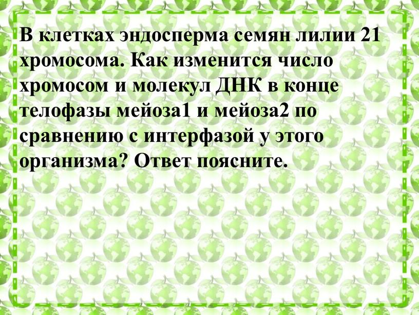 В клетках эндосперма семян лилии 21 хромосома