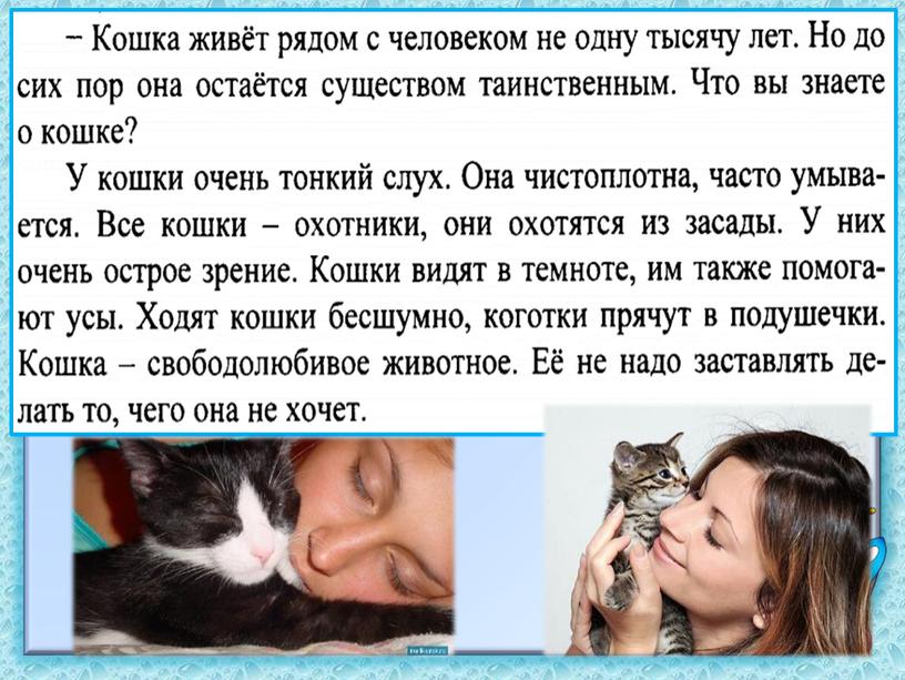 Презентация по чтению. Уроц 13. Русская народная песня «Котик». Сказка Э. Шима «Глухарь». Г. Скребицкий «Самые быстрые крылья».