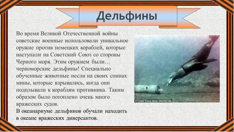 Дельфины Во время Великой Отечественной войны советские военные использовали уникальное оружие против немецких кораблей, которые наступали на