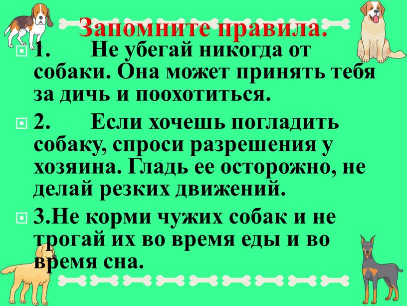 Запомните правила. 1. Не убегай никогда от собаки