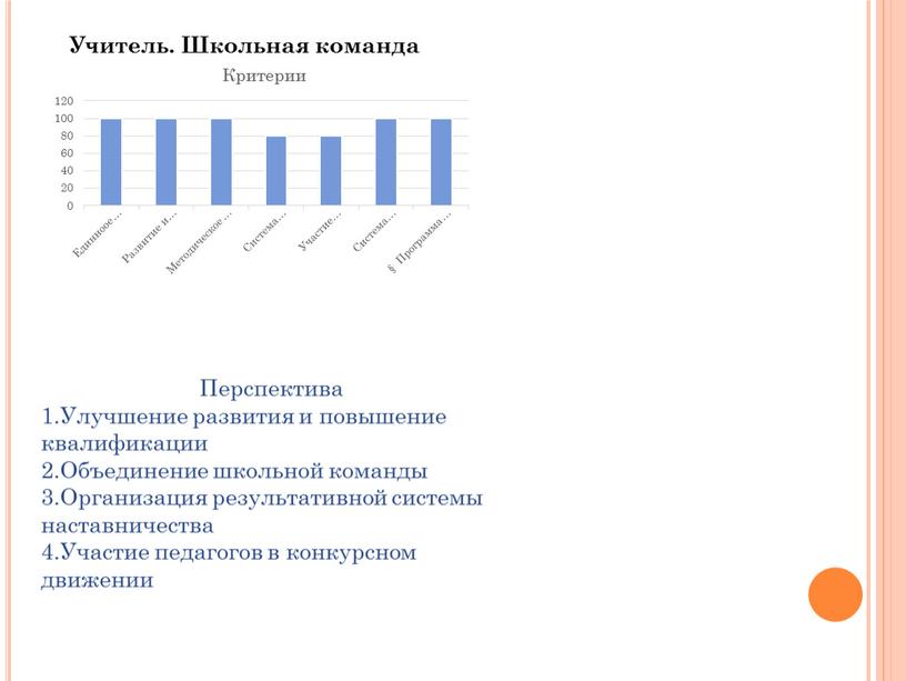 Учитель. Школьная команда Перспектива 1