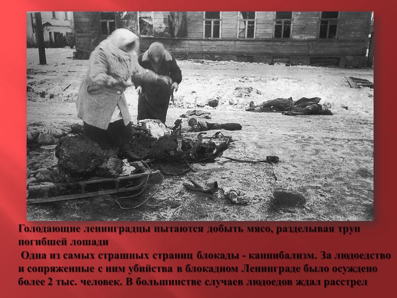 Голодающие ленинградцы пытаются добыть мясо, разделывая труп погибшей лошади