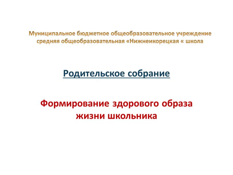 Муниципальное бюджетное общеобразовательное учреждение средняя общеобразовательная «Нижнеикорецкая « школа