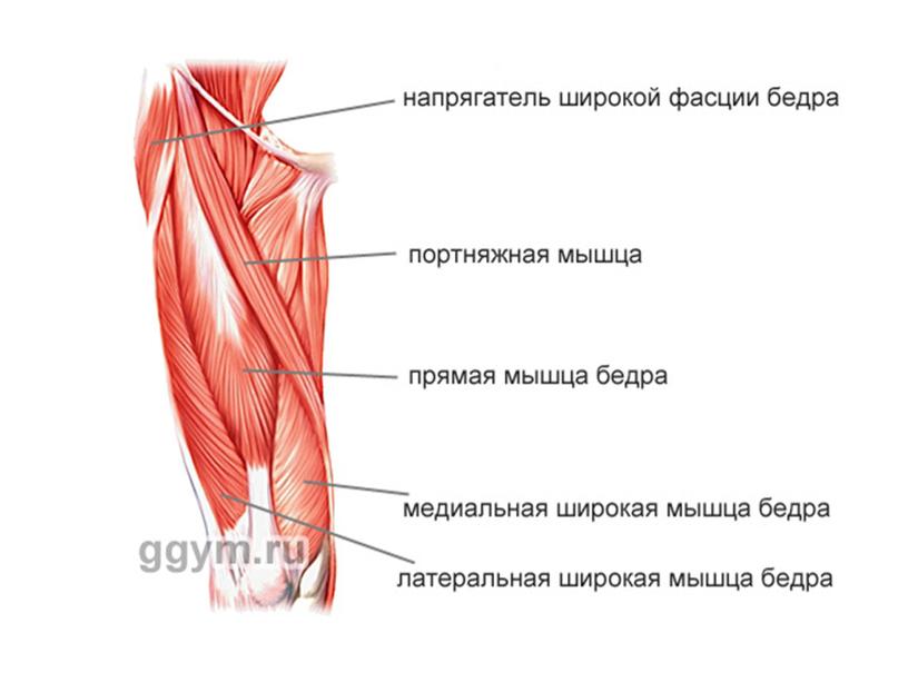 Нервная система