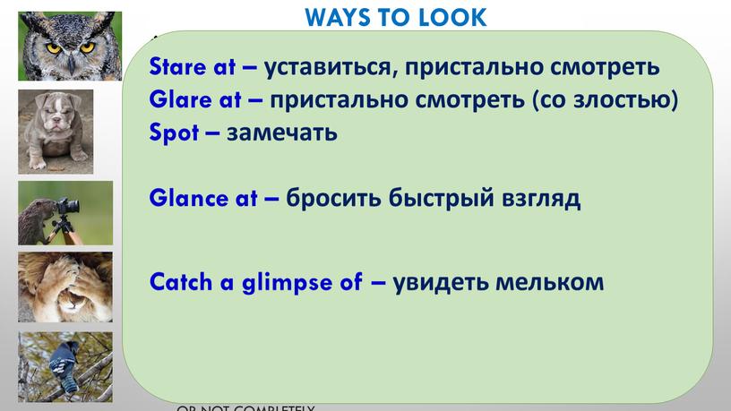 Ways to look Stare - look at someone or something very directly for a long time