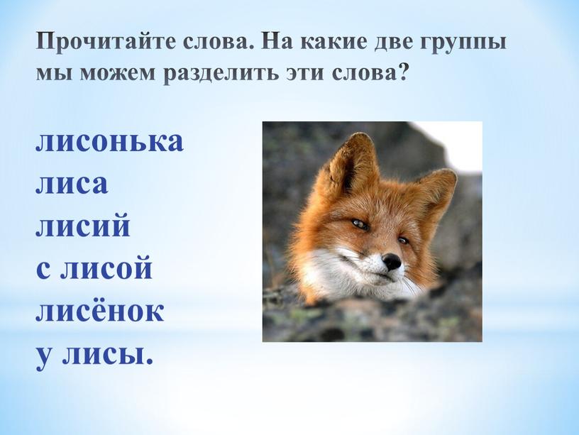 Прочитайте слова. На какие две группы мы можем разделить эти слова? лисонька лиса лисий с лисой лисёнок у лисы