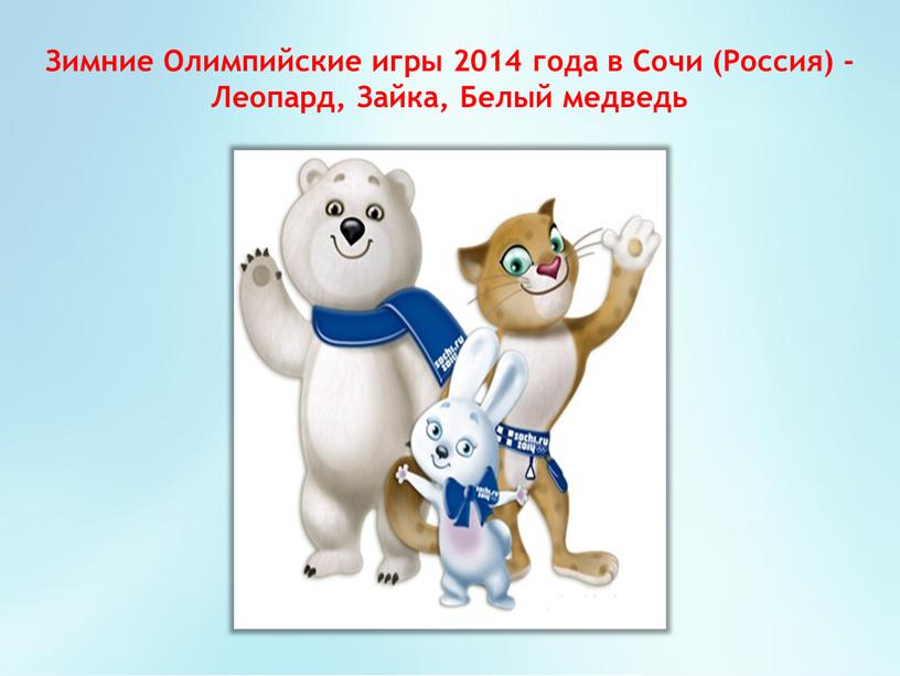 Зимние Олимпийские игры 2014 года в