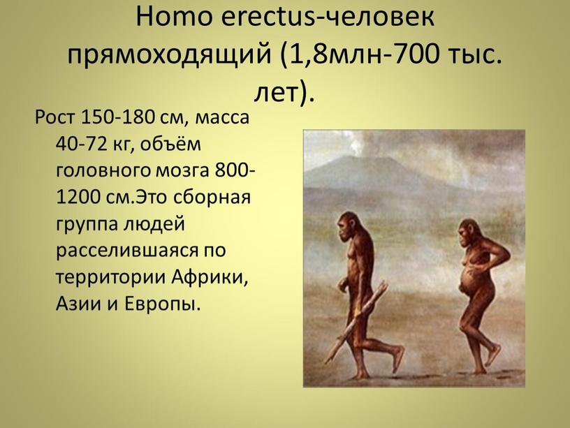 Homo erectus-человек прямоходящий (1,8млн-700 тыс