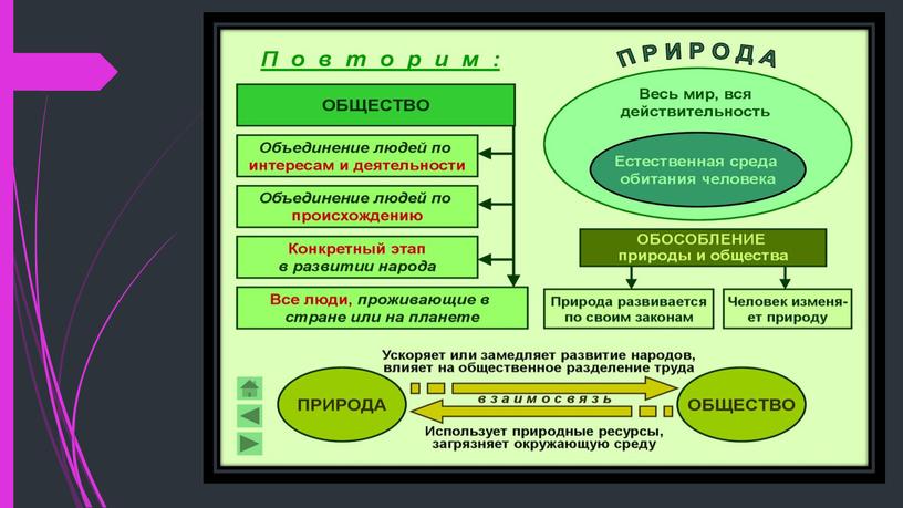 Что такое общество. Связь общества и природы